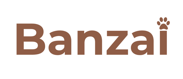 Banzaï
